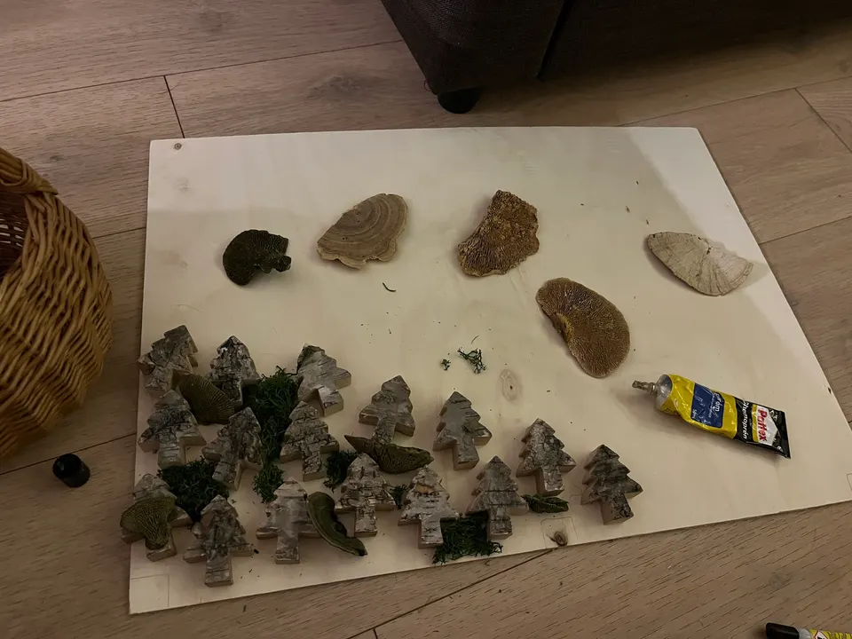 Rozložené přírodniny na překližkové desce: březová kůra, mech a houby